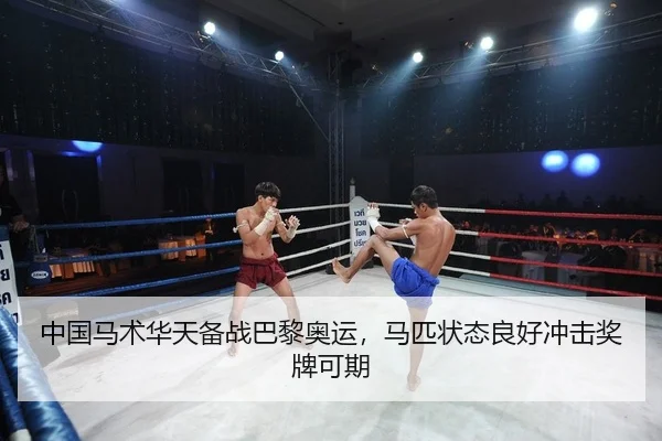 中国马术华天备战巴黎奥运，马匹状态良好冲击奖牌可期